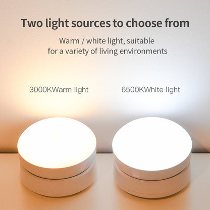 Two light sources with text indicating warm and white light options on a neutral background.