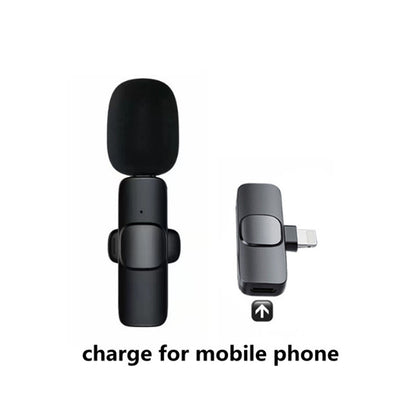 Black microphone and charging adapter for mobile phone on a white background