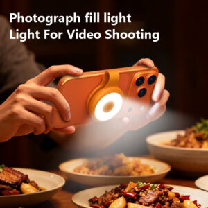 Professional Portable Mini Fill Light