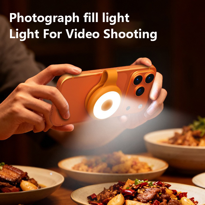 Professional Portable Mini Fill Light